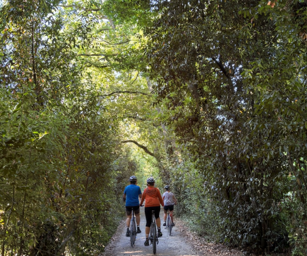 1238279d-a048-40df-94a4-cd1531a90959